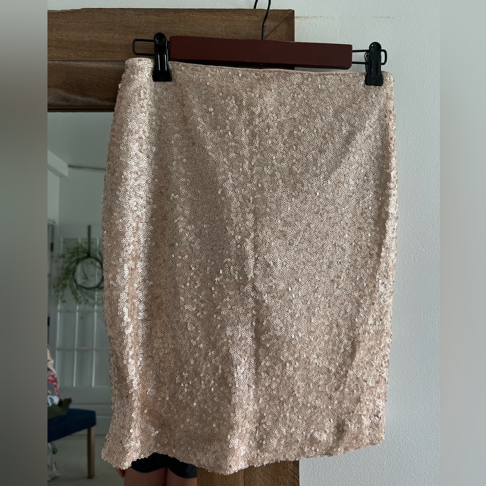 Lulus Sequin Skirt